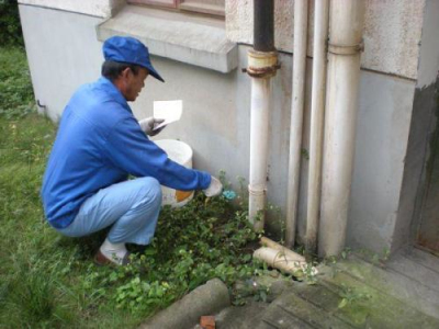 苏州餐馆灭鼠电话 