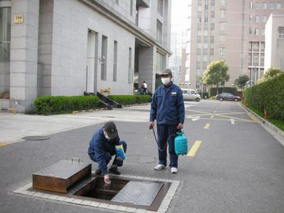苏州专业除四害公司 