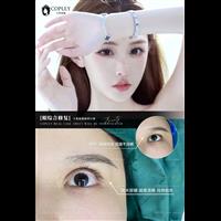 案例展示
