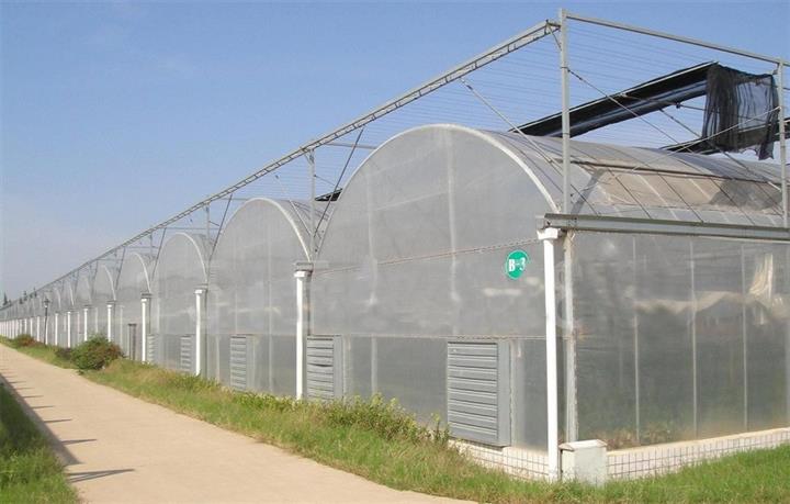 Multi span glass greenhouse