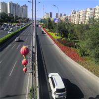 乌鲁木齐头屯河区园林养护公司
