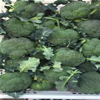 邯郸蔬菜代办联系方式
