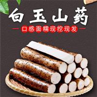 邯郸白玉山药代办代收公司