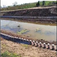 水泥仿木桩河道护岸的环保新选择