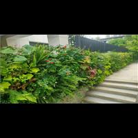 中铁阅山湖别墅植物墙项目-贵州贵阳立体绿化垂直绿化