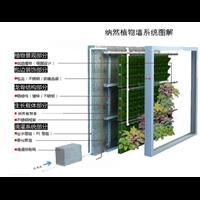 植物墙结构方案-贵州贵阳纳然植物墙