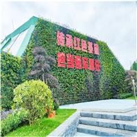 第四届绿化博览会军队展园植物墙
