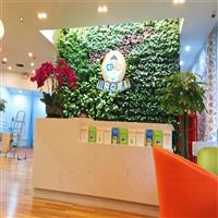 贵阳市中山大厦小亮点眼科植物墙