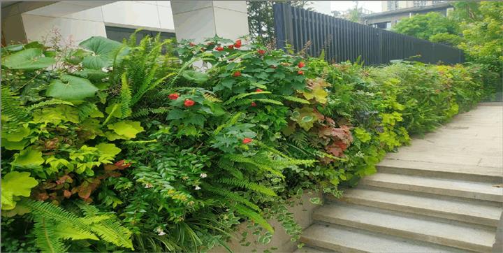 中铁阅山湖别墅植物墙项目-贵州贵阳立体绿化垂直绿化
