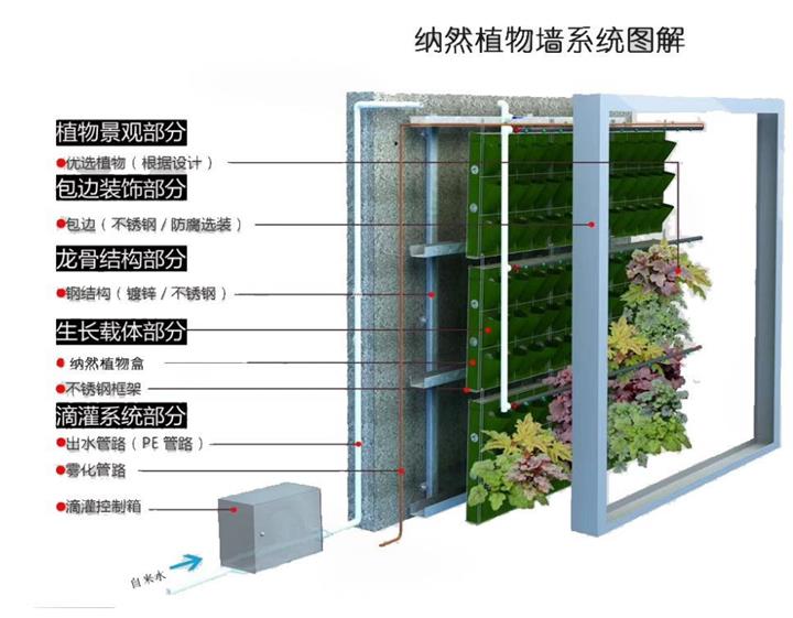 垂直绿化植物墙技术规范
