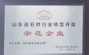 示范企业
