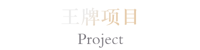 王牌项目